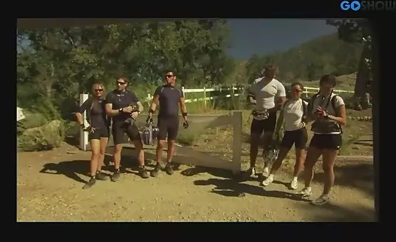 Outdoor Couple Blowjobs and Cunnilingus